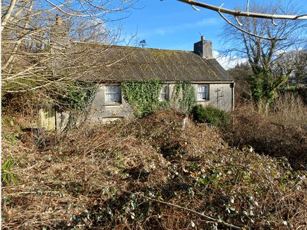 Longcarne Farm Advent PL32 9QF